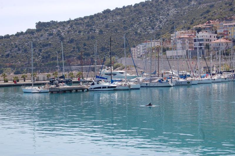 Olympos Mitos Hotel Buitenkant foto