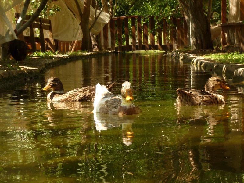 Olympos Mitos Hotel Buitenkant foto